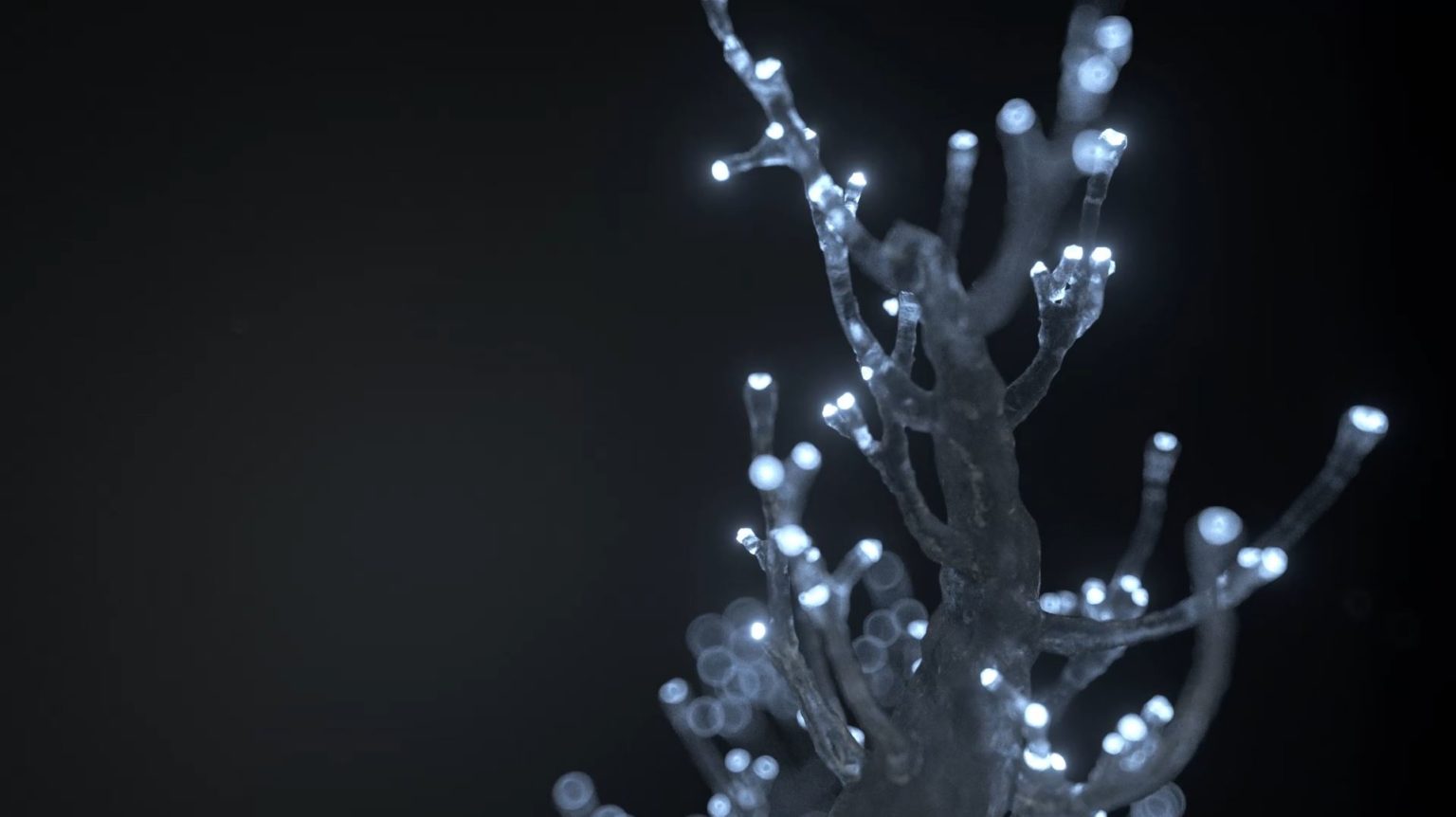 Medical Animation Vessel Studios